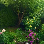 ゲストハウス Garni Am Schaefersberg ニーダーンハウゼン