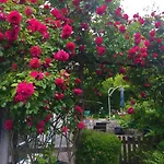 ゲストハウス Garni Am Schaefersberg ニーダーンハウゼン