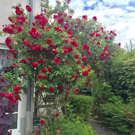 Guest house Garni Am Schaefersberg
