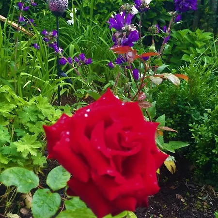 Garni Am Schäfersberg