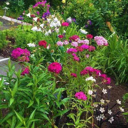 Gasthof Garni Am Schäfersberg Niedernhausen