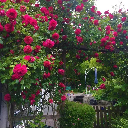 Gasthof Garni Am Schäfersberg Niedernhausen