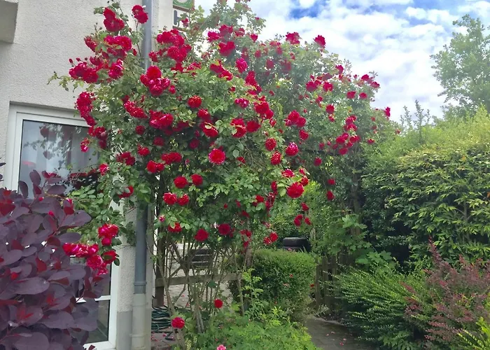 Guest house Garni Am Schaefersberg