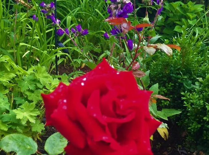 Garni Am Schaefersberg