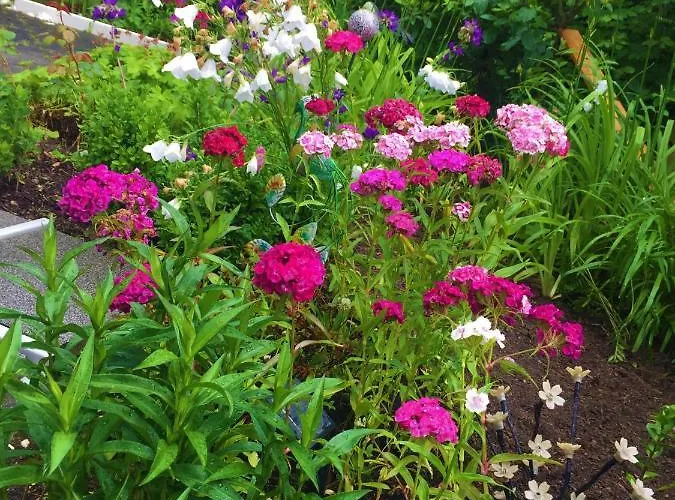 Guest house Garni Am Schaefersberg Niedernhausen