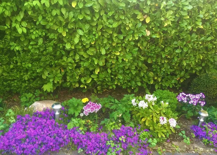 Garni Am Schaefersberg Niedernhausen